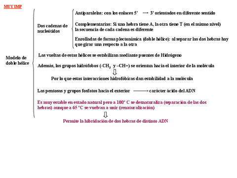 Siglo-XX-II.pdf