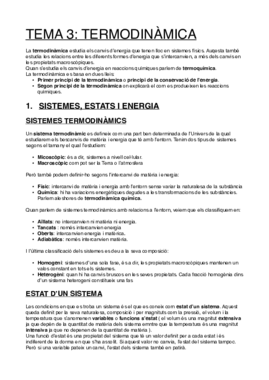 QUIMICA-TEMA 3.pdf