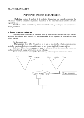 Practica cladismo.pdf