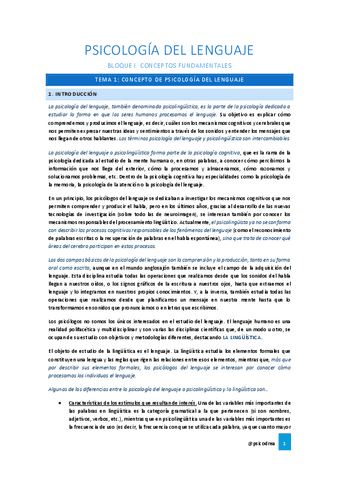 ResumenCompletoPsicologíaDelLenguajePSICODREA.pdf