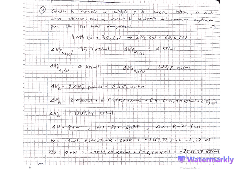 quimicaejercicios-12.pdf