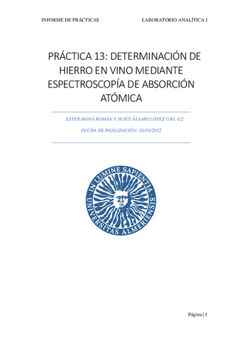 INFORME-PRACTICA-13.pdf