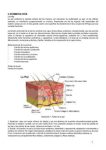 dermatologia.pdf