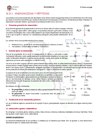 Tema-1.-Aminoacidos-y-peptidos.pdf