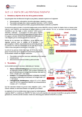 Tema-12.-Pentosas-fosfato.pdf