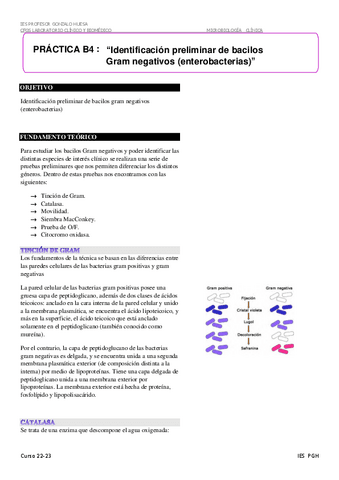 B-04-Identificacion-preliminar-de-bacilos-gram-negativos-enterobacterias.pdf