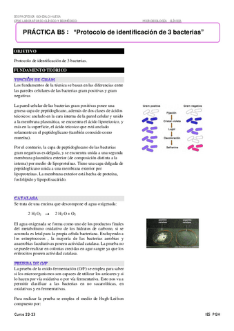 B-05-Protocolo-de-identificacion-de-3-bacterias.pdf