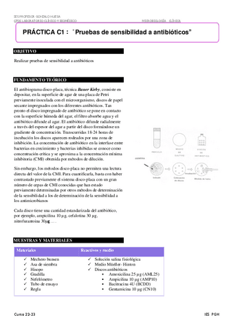 C-01-PRUEBAS-DE-SENSIBILIDAD-A-ANTIBIOTICOS.pdf