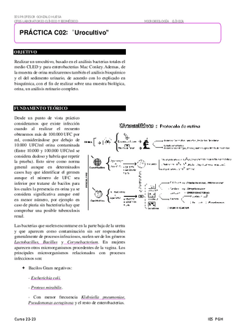 C-02-Urocultivo.pdf