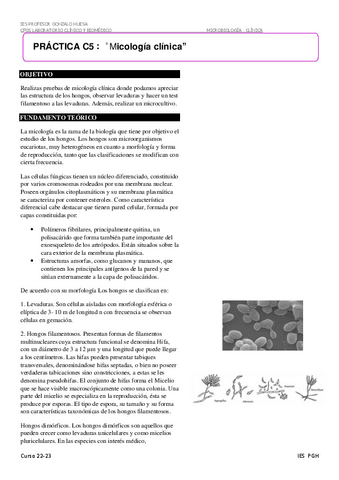 C-05-Micologia-clinica.pdf