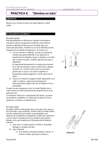 Siembra-en-tubo-9.pdf