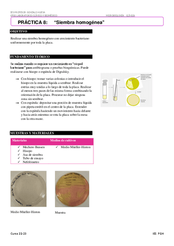 Siembra-homogenea-8.pdf