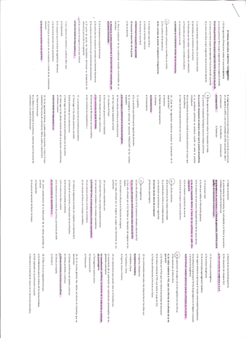 Examen-2o-parcial.pdf