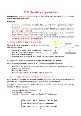 T10.-Produccio-primaria.pdf