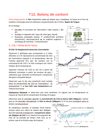 T12.-Balanc-de-Carboni.pdf