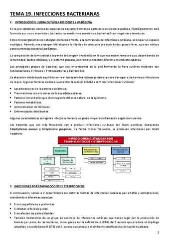 TEMA-19.-INFECCIONES-BACTERIANAS.pdf