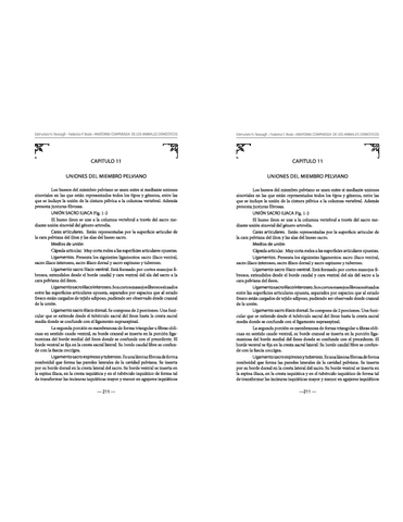 uniones-del-miembro-pelviano-teorico.pdf