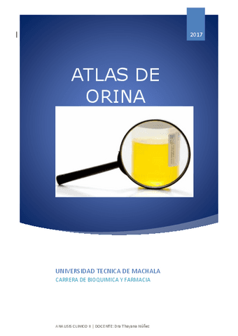 INFORMACION-ATLAS-DE-ORINA-DWG.pdf
