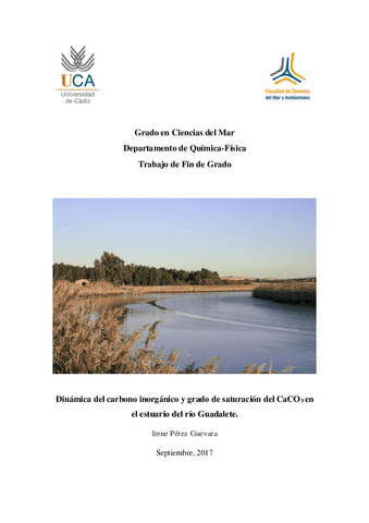 TFG-IRENE-PEREZ-GUEVARA.pdf