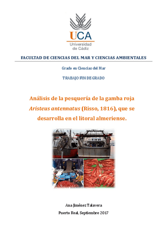 TFGAna-Jimenez-TalaveraDEFINITIVORODIN.pdf