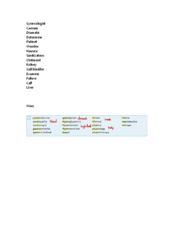 Palabras-examen-oral.pdf