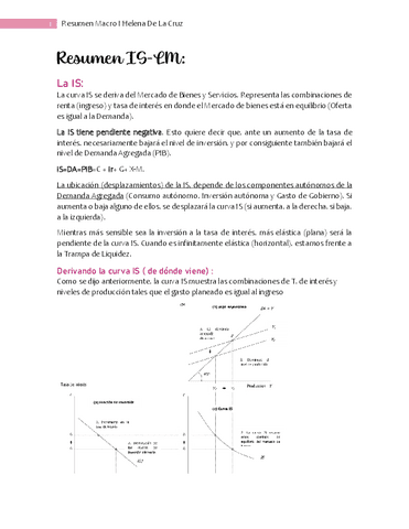 Resumen-IS-LMDelacruz.pdf