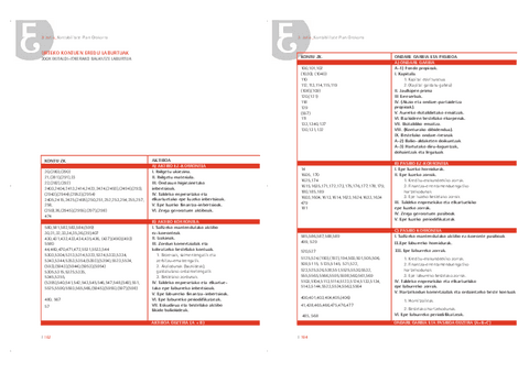 Urteko-kontuen-eredu-laburtua.pdf