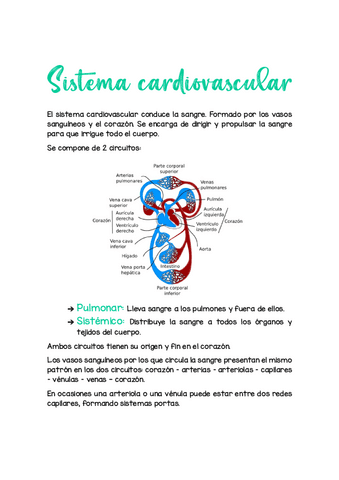 Histo-cardio-y-sangre.pdf