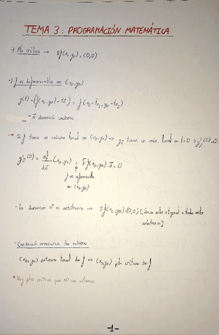 Tema3ProgramacionMatematicaApuntesClase.pdf