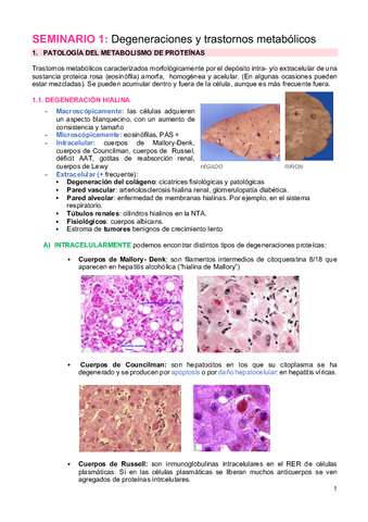 SEMINARIO-1-METABOLISMO.pdf