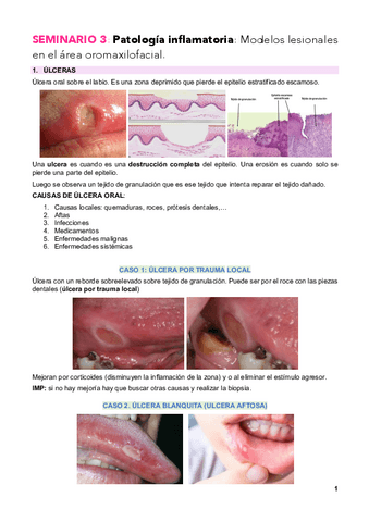 SEMINARIO-3-PATOLOGIA-INFLAMATORIA-MODELOS-LESIONALES-DEL-AREA-OROMAXILOFACIAL.pdf