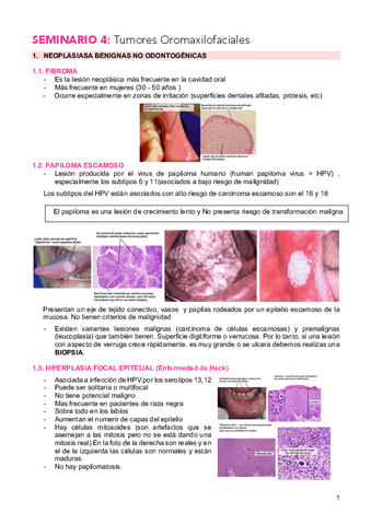 SEMINARIO-4-TUMORES-OROMAXILOFACIALES.pdf