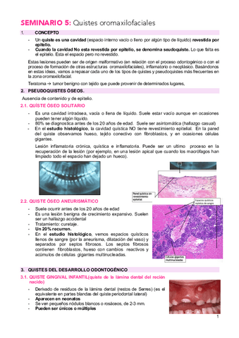 SEMINARIO-5-quistes-oromaxilofaciales.pdf