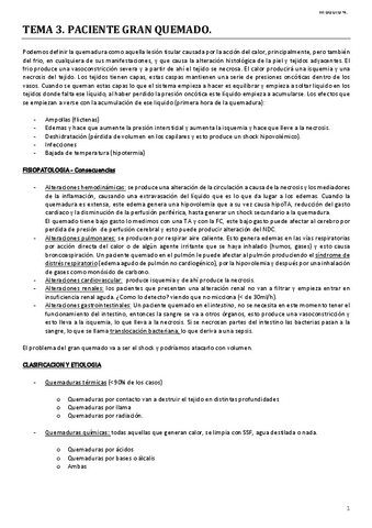 Tema-3.-Paciente-gran-quemado.pdf