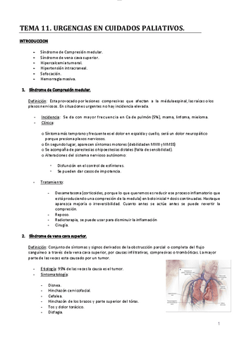 tema-10.-urgencias-paliativos.pdf