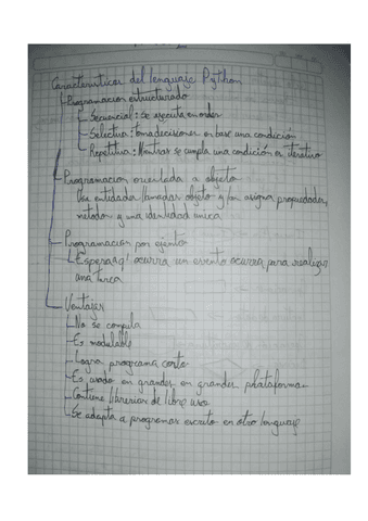 Programacionpythonbasico.pdf