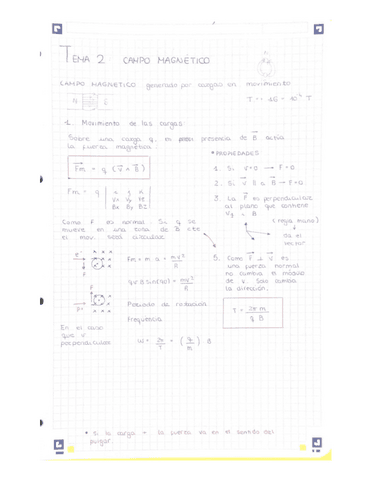 Tema2campomagnetico.pdf