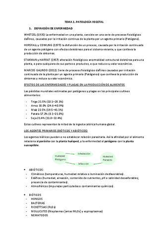 TEORIA-COMPLETA-ENFERMEDADES.pdf