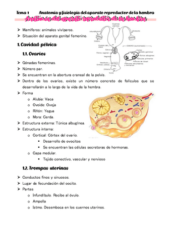 TEMA-1-Anatomia-del-aparato-reproductor-de-la-hembra.pdf