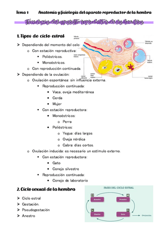 TEMA-2-Fisiologia-del-aparato-reproductor-de-la-hembra.pdf