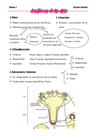 TEMA-2-Anatomia-de-la-ubre.pdf