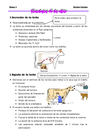 TEMA-3-Fisiologia-de-la-ubre.pdf