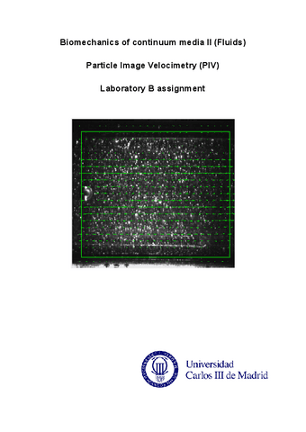 Fluids-LAB-B.pdf