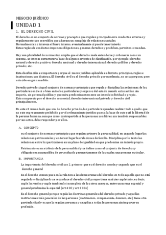 Negocio-Juridico.pdf
