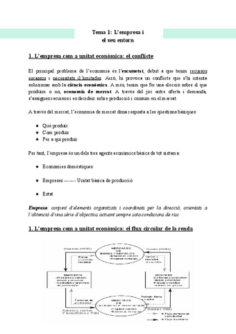 Tema-1-Lempresa.pdf