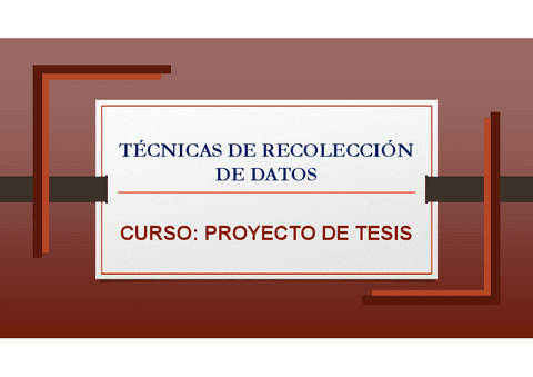 Tecnicas-de-Recoleccion-de-Datos-Proyecto-de-Tesis.pdf