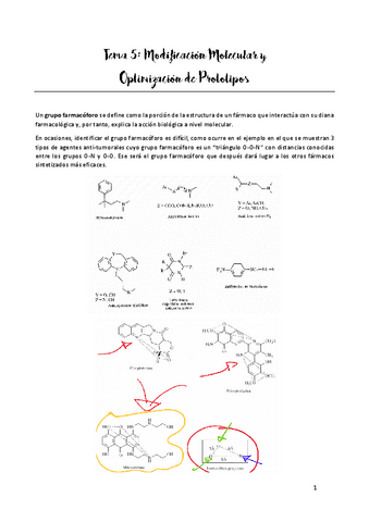 TEMA-5.pdf