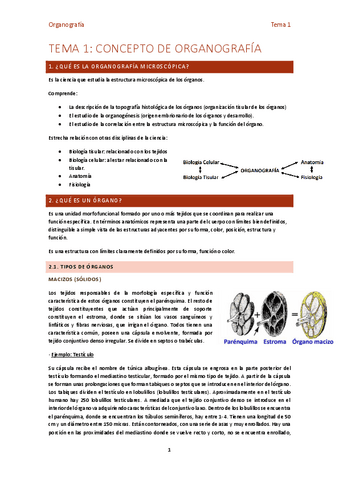 Tema-1-organo.pdf