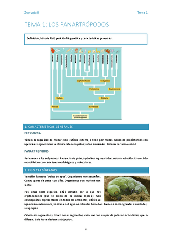 Tema-1-zoo2.docx.pdf