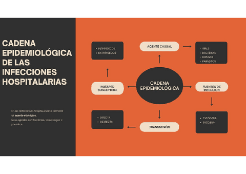 CADENA-EPIDEMIOLOGICA.pdf